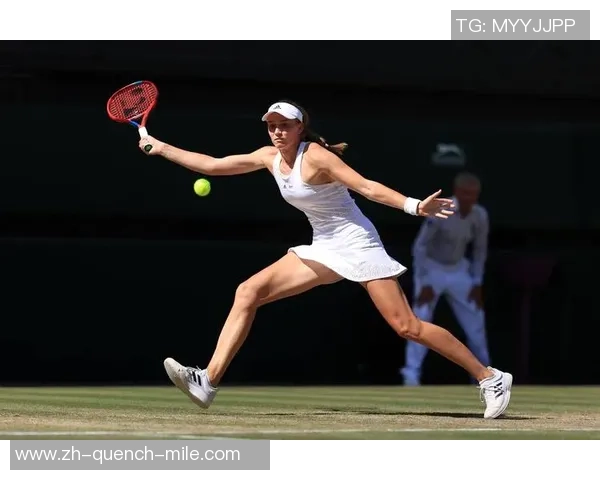 澳网大名单中文版，险！球正中阿卡面部，网坛五大事情您认同吗？